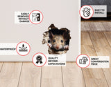 Mouse Hole 3D Wall Sticker - Lifelike Brown Mouse Peeking Out of Mousehole Decal for Funny Room Decor - Curious Mouse Furniture Sticker