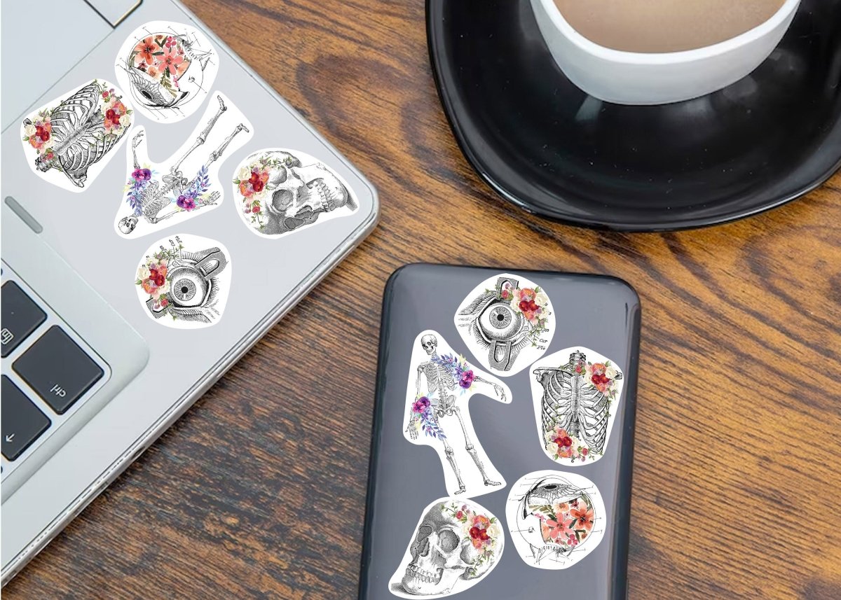 Anatomical Flair: Captivating Anatomy Stickers for Laptop, Water Bottle, and Tumbler - Decords