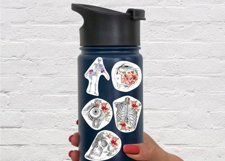 Anatomical Flair: Captivating Anatomy Stickers for Laptop, Water Bottle, and Tumbler - Decords