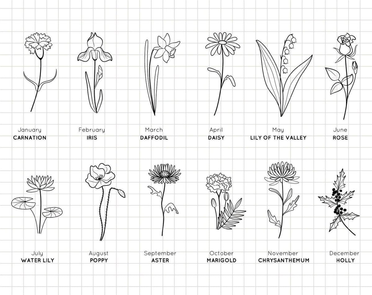 November Birth Flower Sticker: Chrysanthemum