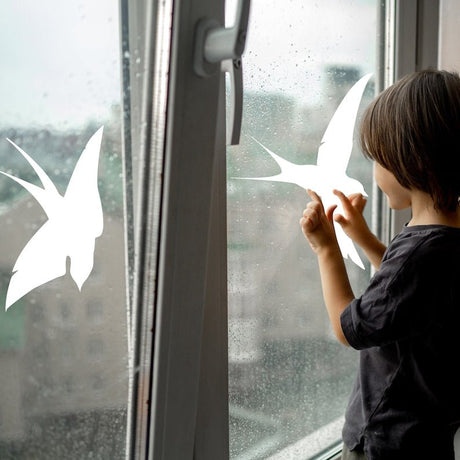 FeatherGuard Bird-Safe Window Decals - Decords
