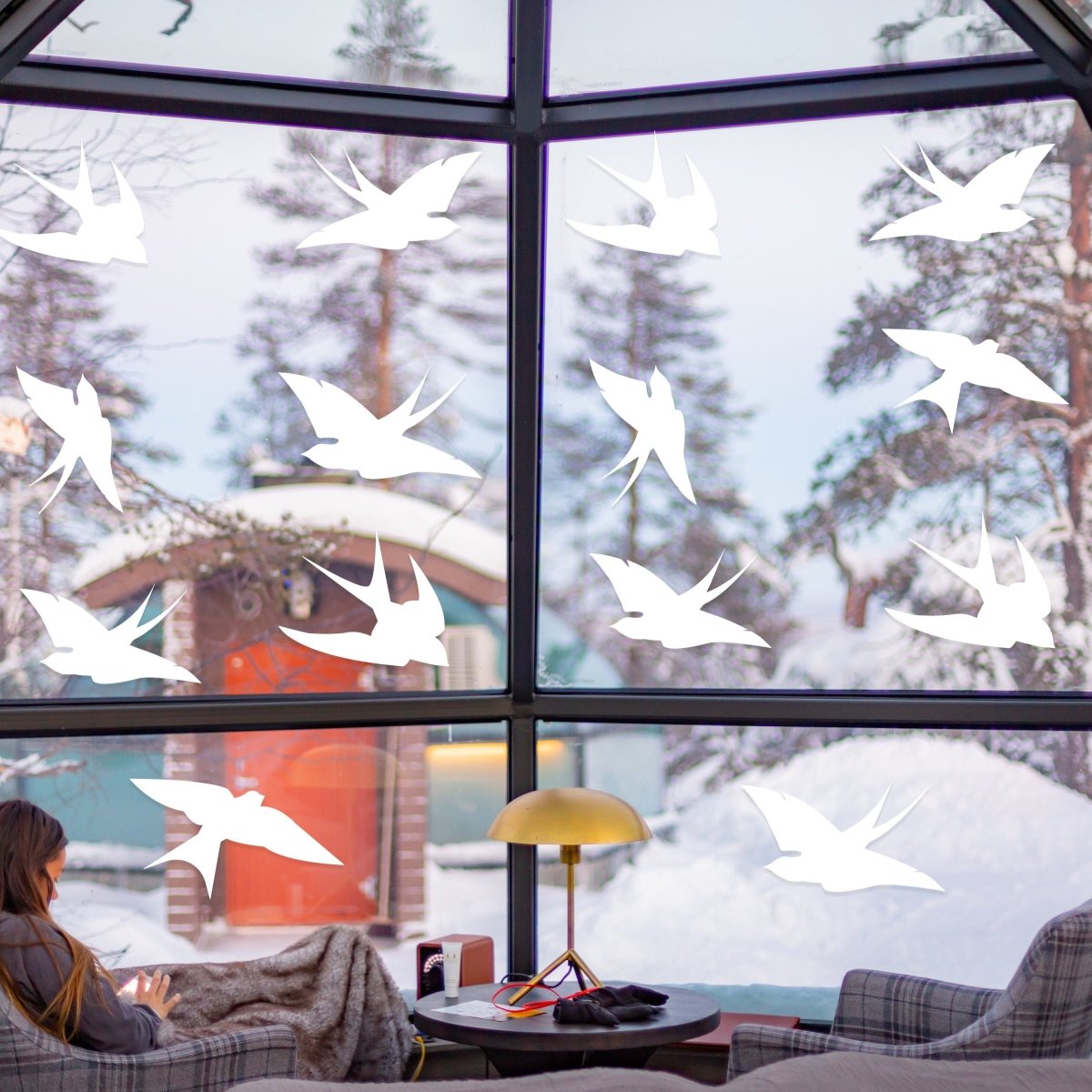 FeatherGuard Window Decals - Protect Birds, Enhance Elegance - Decords