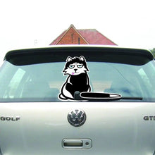 Load image into Gallery viewer, Feline Fun Rear Window Car Decal - Decords
