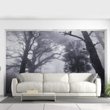 Foggy Forest Decal Wallpaper - Fog Tree Removable Wall Paper Sticker Mural Art