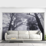 Foggy Forest Decal Wallpaper - Fog Tree Removable Wall Paper Sticker Mural Art - Decords