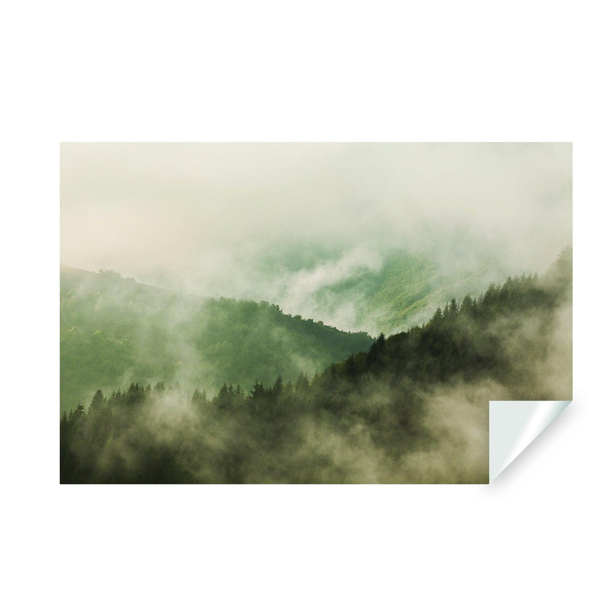 Foggy Forest Wallpaper Sticker Mural - Mountain Tree Fog Removable Wall Paper Art Decal - Decords