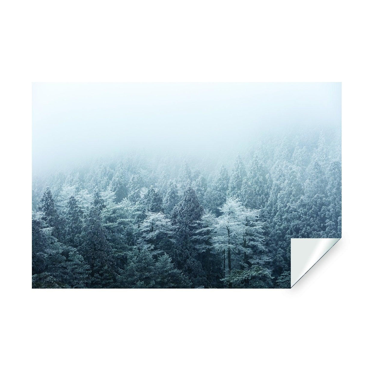 Foggy Forest Wallpaper Sticker Mural - Mountain Tree Fog Removable Wall Paper Art Decal