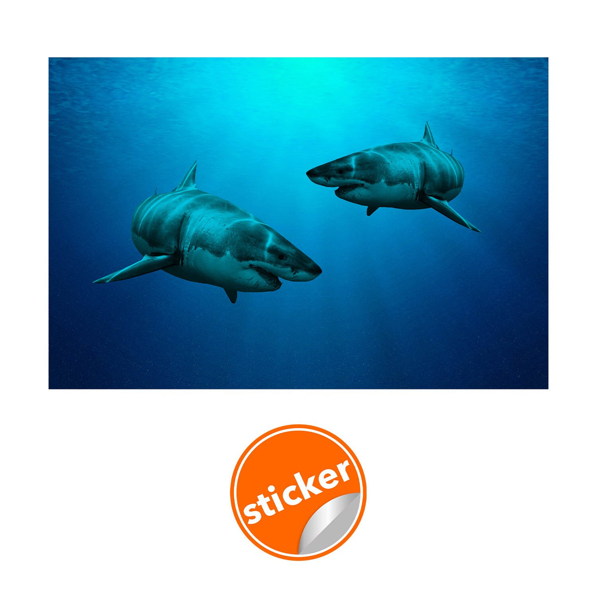 Tapeet Shark Decor Kleebis – 3D veealused ookeani seinakleebised, eemaldatav kleebis