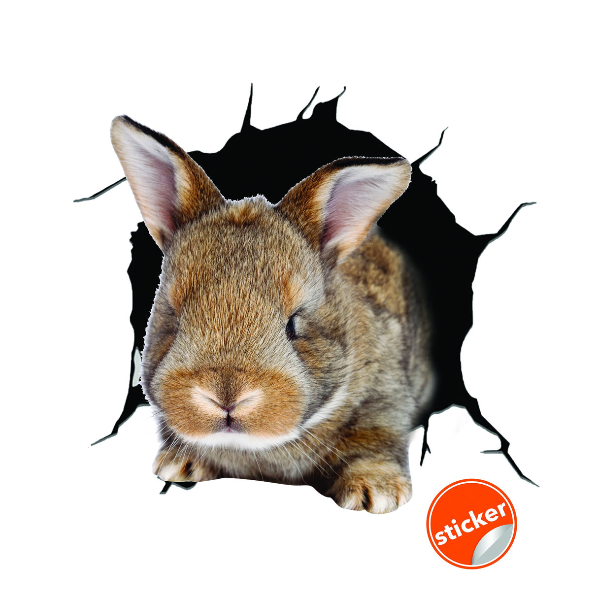 3d Rabbit Wall Decal - Easter Bunny Kid Design Sticker