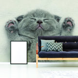Cat Wallpaper Vinyl Decal Decor - Home Bedroom Peel And Stick Removable Gray Kitten Art Wall Sticker