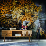 Jaguari tapeet, vinüülkleebise kujundus – kodu magamistoa eemaldatav kunst-tapeedi kleebis