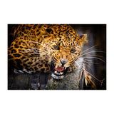 Jaguari tapeet, vinüülkleebise kujundus – kodu magamistoa eemaldatav kunst-tapeedi kleebis