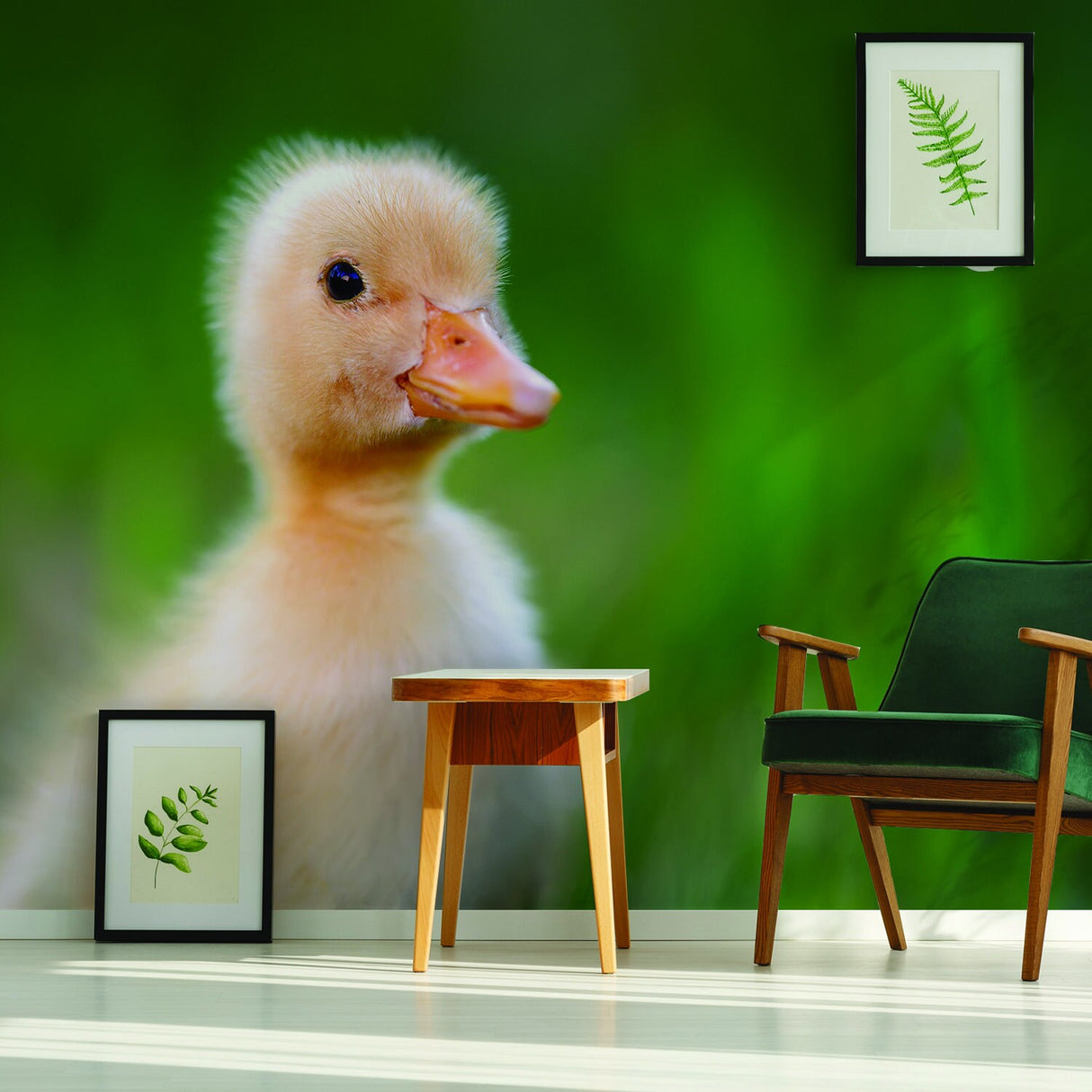 Duck Wallpaper Vinyl Decal Decor - Home Bedroom Peel And Stick Removable Art Wall Paper Sticker
