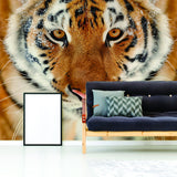 Tiger Wallpaper Stick And Peel Decal - 3d Orange Head Removable Wall Paper Sticker