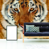 Tiger Wallpaper Stick And Peel Decal - 3d Orange Head Removable Wall Paper Sticker - Decords