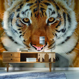 Tiger Wallpaper Stick And Peel Decal - 3d Orange Head Removable Wall Paper Sticker