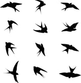 Akende kokkupõrkevastased linnukleebised – akende kleebised lindude löömiseks