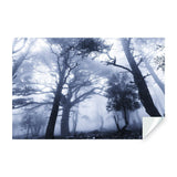 Foggy Forest Wallpaper Decal - Landscape Tree Wall Paper Mural Self Peel And Stick Sticker