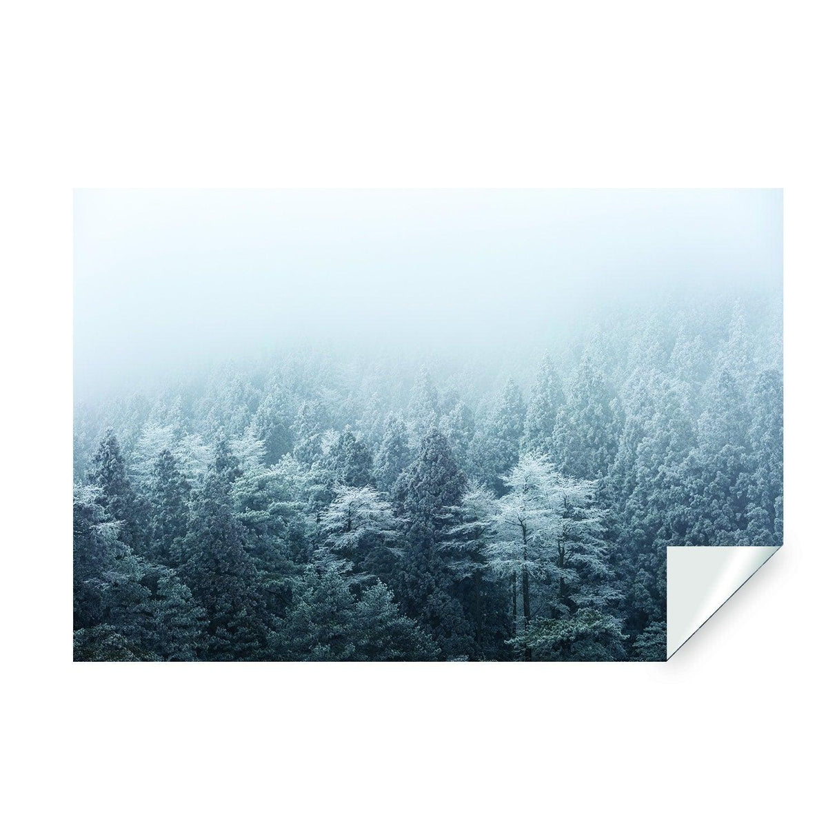 Foggy Forest Wallpaper Decal - Landscape Tree Wall Paper Mural Self Peel And Stick Sticker