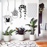 Hanging Plant Basket Wall Sticker - Tropical Pot Living Room Decor Decals
