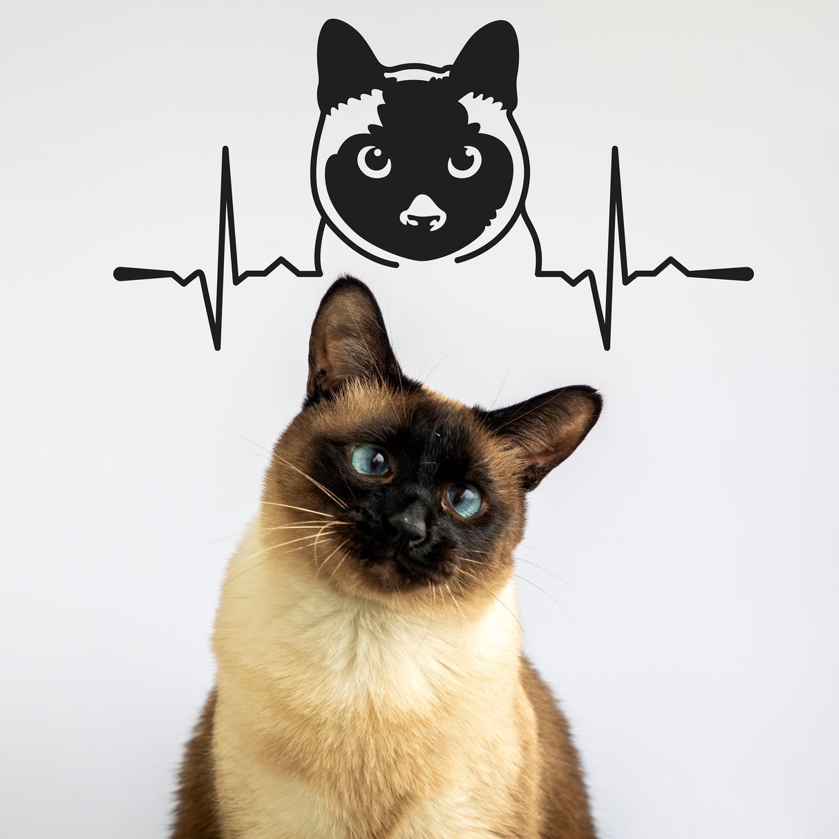 Siamese Cat Wall Sticker - Adorable Feline Vinyl Wall Art Decal