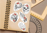 Educational Medical Skeleton Decals - Anatomy Stickers for Learning