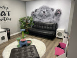 Kassi tapeet Vinüülkleebised – Kodu magamistoa eemaldatav halli kassipoega seinakleebis