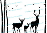 Deer Wildlife Wall Vinyl Sticker - Baby Kit Antler Hunting Decor Hunter Art Animal Decal